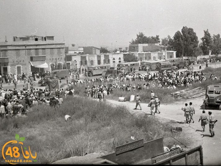   صور نادرة تُعرض للمرة الأولى من مدينة الرملة تعود لعام النكبة 1948